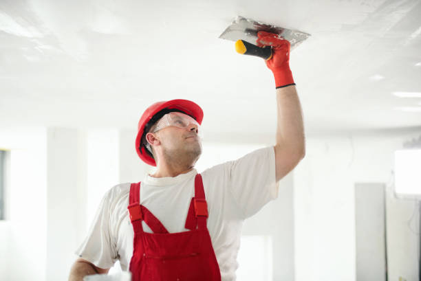 Best Attic Mold Removal  in Lancaster, OH